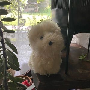 Coconut American Girl Doll Dog